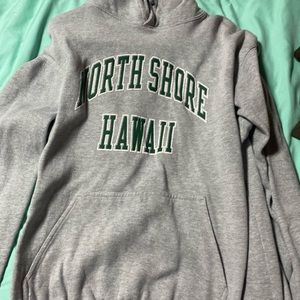 Brandy melville oversized hoodie